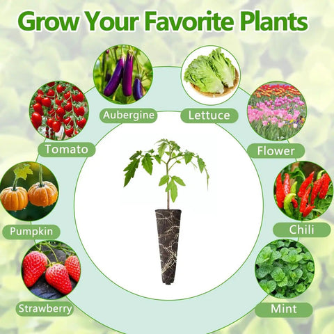 Illustration of All In One Indoor Garden Seed Pod Kit showing various plants like tomato, lettuce, and mint for hydroponics systems.