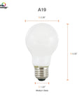 LED TruWave Natural A19 Light Bulbs 60W Equivalent, 8W Low Energy LED, 800 Lumens, labeled dimensions, medium base, front view