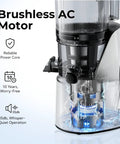 Brushless AC motor of EanOruus 3-in-1 Cold Press Juicer showing reliable power core and quiet operation features.