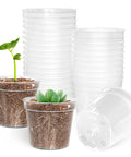 Clear 2.5 Inch Nursery Pots Set Of 50 With Drainage Holes Durable Plastic Seed Starter Pots For Seedlings Veggies And Flowers Translucent Plant Pots For Easy Root Observation Great Gardening Gift