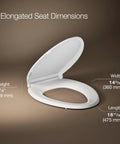 Front view of white Kohler Cachet elongated toilet seat with slow-close lid; length 18 11/16 in, width 14 3/16 in.