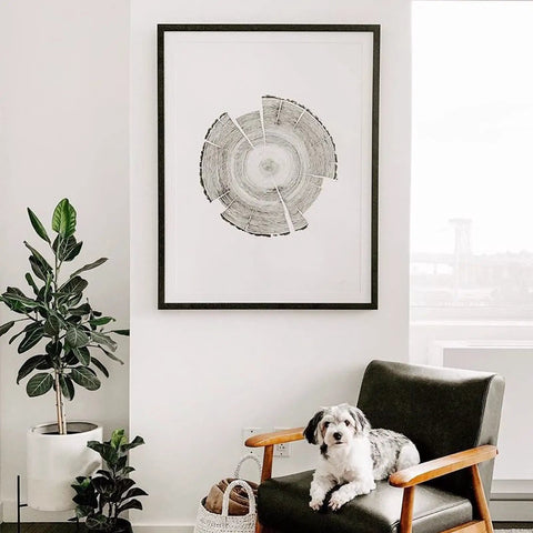 Living room corner with plant, framed artwork, and a dog on a chair; product Peel And Stick Molding And Wall Trim Set not directly visible.