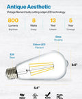 Diagram of 12 Pack LED Edison Bulbs ST64 Vintage Filament Clear Waterproof Dimmable Bulbs 800 Lumens 8W 60W Equivalent Soft White 2700K E26.