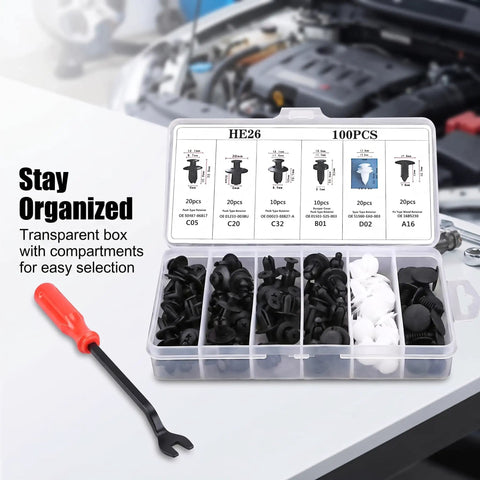 100 Piece Car Rivets Fasteners Kit With 6.3mm 8mm 9mm 10mm Multi Size Bumper Retainer Clips, Heavy Duty Plastic Auto Fastener Set For Cars And Trucks, Black in transparent organizer box