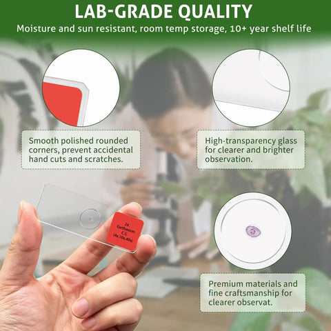 Must Have 50 Prepared Microscope Slides Kit With Diverse Plant, Animal, And Microorganism Specimens For Biology STEM Learning, Includes 5 Instruction Cards And 2 Cleaning Cloths, glass slide detail