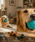 2K 5G Indoor Security Camera With Crying Detection AI Baby Monitor No Monthly Fees 360 Degree Pan Tilt WiFi Pet Camera zoom view of dog playing with blue ball in living room.