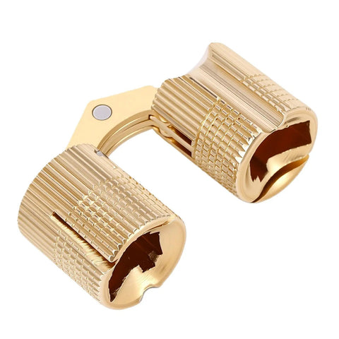 Close-up of Brass Hidden Cylindrical Hinge for Jewelry Boxes and Small Cabinets, 180 degree concealed pivot, polished finish.