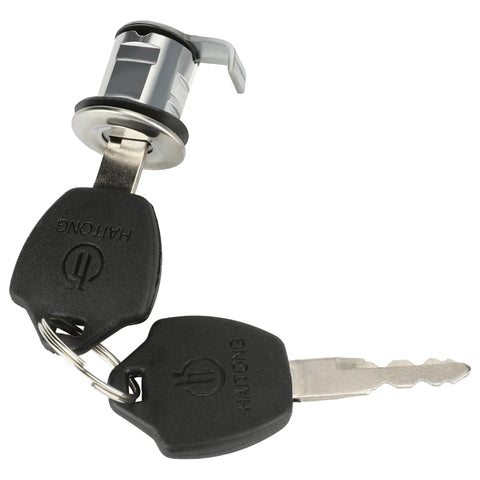 Ignition Switch Key Assembly For GY6 49cc 50cc 125cc 150cc Chinese Scooters and Mopeds Replacement Parts Fits Tao Tao VIP