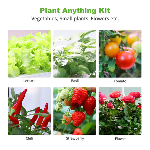 Collage of hydroponic plants including lettuce, basil, tomato, chili, strawberry, and flowers labeled 'Plant Anything Kit'.