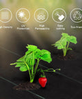 Heavy Duty Landscape Fabric Weed Barrier For Garden And Driveway Projects, 3 Ft By 100 Ft Ground Cover Mat with plants