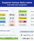 Sweet Setup Wireless Label Maker With Fast Typing Keyboard And Bluetooth Paired Smart App For Dang Easy Pantry Sorting And Crisp Desk Organization Comes Loaded With Four Reliable Tape Rolls showcasing various die-cut and continuous labels.