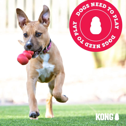 Dog playing outdoors with KONG toy in mouth, showcasing "Dogs Need to Play" message in red circle.