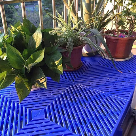 Plants on Lightweight Plastic Pallet Interlocking Storage System With Breathable Grid Design for Garage Warehouse Yard Kitchen Supermarket
