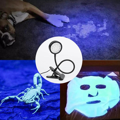 USB Powered UV LED Black Light Clamp Lamp With Flexible Gooseneck Clip 5W 395nm illuminating stains, scorpion, and glowing art