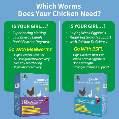 Comparison of 10Lb Dried Mealworms and 10Lb Dried Black Soldier Fly Larvae for chicken health needs.