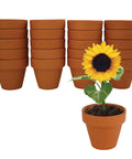 Sunflower Seed Starter Kit Bulk 20 Pack With Mini Terracotta Pots For Weddings DIY Crafts Classroom Projects Party Favors And Easy Home Gardening For All Ages