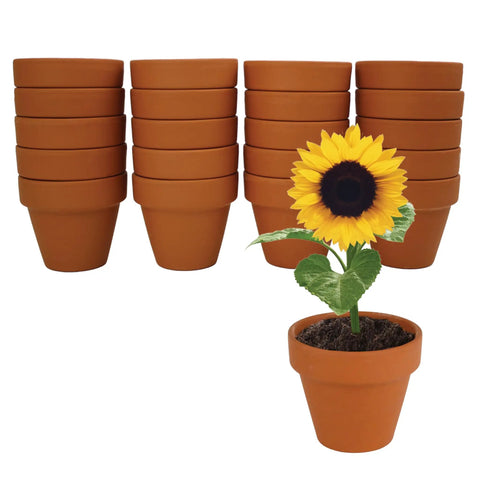 Sunflower Seed Starter Kit Bulk 20 Pack With Mini Terracotta Pots For Weddings DIY Crafts Classroom Projects Party Favors And Easy Home Gardening For All Ages