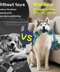 Four Pack Heavy Duty Dog Rope Toys For Aggressive Chewers, Husky playing with nearly indestructible cotton rope, furniture protection