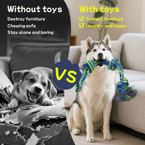 Four Pack Heavy Duty Dog Rope Toys For Aggressive Chewers, Husky playing with nearly indestructible cotton rope, furniture protection
