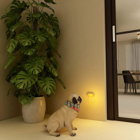Amber 1800K Plug In Motion Sensor Night Light With Stepless Dimmable LED Always On Or Auto Off 120 Lumen near plant and dog