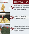 Game Dropping Drip Free Chicken Water Nipples 100 Pack Automatic Poultry Drinkers installation guide with chicks and PVC setup.