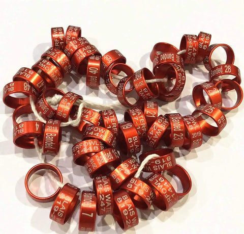 Bulk 100 Pcs Metal Bird Leg Rings 2mm To 16mm For Parrots Pigeons Chickens Bantams Great For Tracking And Identification