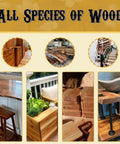 Various wood types treated with Dark Wood Oil Finish And Stabilizer That Deepens With Age, Food Safe And Solvent Free, Non Toxic