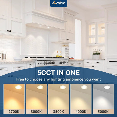 12 Pack Sleek Two Inch Led Canless Recessed Ceiling Lights With No Sweat Adjust 5Cct Color Temp showcasing kitchen lighting options.