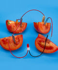 Hands On Fun Kid Friendly Energy Science Kit With Potato And Lemon Battery Experiments Digital Clock And Light Bulb Included Green Power Learning Project Using Zinc Copper Plates And Wires showing tomato battery circuit.