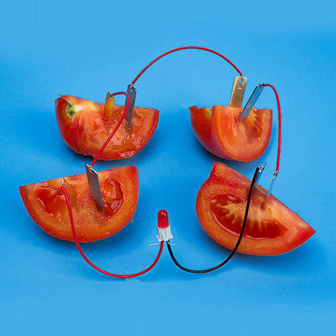 Hands On Fun Kid Friendly Energy Science Kit With Potato And Lemon Battery Experiments Digital Clock And Light Bulb Included Green Power Learning Project Using Zinc Copper Plates And Wires showing tomato battery circuit.