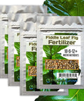 Fiddle Leaf Fig Fertilizer Bundle With Full Spectrum Micronutrients, Slow Release Feeds Lasting Up To Eight Months, Four 6oz Bags For An Over Year Supply, Easy Instructions, Not Just For Fiddle Fig Trees. Four 6oz bags