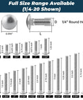 Stainless Steel Carriage Bolt Kit 1/4-20 x 2 Inch Full Size Range Diagram with Round Head Square Neck Bolts and Measurements