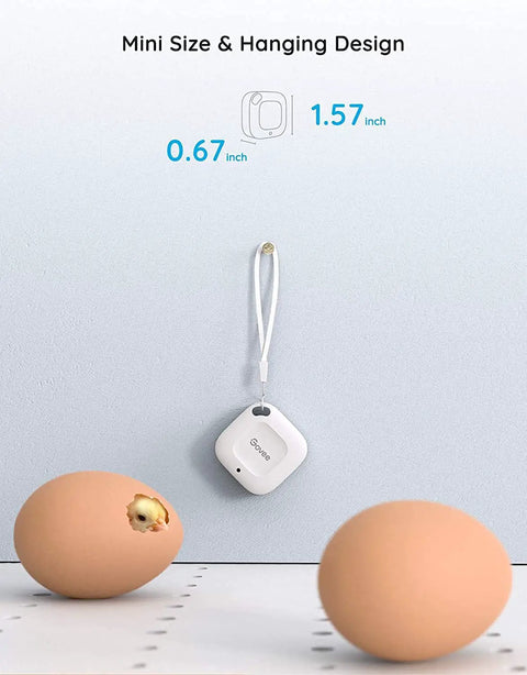 Bluetooth Hygrometer Thermometer Mini Wireless Humidity Sensor hanging on wall, showing compact size next to eggs, no WiFi needed.