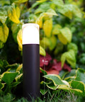 Low Voltage Pathway Lighting Kit 8 Pack Bollard Landscape Lights 2W 2700K Warm White LED Wired Path Lights 100 Lumens Metal Outdoor Brown Finish With Stake Connector For Walkways And Driveways next to green plants.