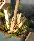 Solitary Bee Bamboo Tubes 4 Inch Pack Of 100 Bee Friendly Nesting Tubes in garden setup with bee house and greenery