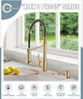 Brushed Gold Kitchen Faucet With Soap Dispenser And Deck Plate For RV And Farmhouse Sinks, Single Handle Pull Down Sprayer