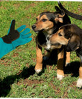 Pet Grooming Gloves For Dogs And Cats With Long Sleeve Protective Faux Leather next to puppies in grass, universal fit