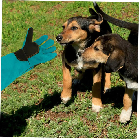 Pet Grooming Gloves For Dogs And Cats With Long Sleeve Protective Faux Leather next to puppies in grass, universal fit