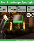 Outdoor LED Spotlight 12V ACDC Wired Adjustable Color Temperature 3000K 4000K 5000K Waterproof Landscape Uplight For Trees Gardens Walls With Rustproof Aluminum Orb Mounting 4 Pack shown in garden setting