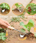 Two Pack Stainless Steel Hand Weeder Tools For Garden And Farm With V Shape Weeder in action removing weeds