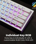 Compact 60 Percent White Mechanical Keyboard With Snappy Gateron Red Switches And Hot Swap Slots Offers Dope RGB Glow and Thinly Dampening Foam Inside a Legit Anodized Aluminum Build.