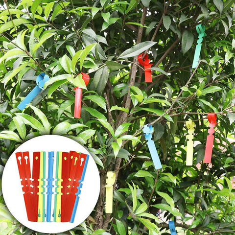 Garden grafting tool kit (front view) with colorful plastic grafting clips, tapes, and labels.
