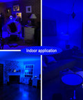 Blue LED Bulb A19 Base E26 Socket 9W 60W Equivalent Chill Blue Glow for various indoor settings showcasing vibrant lighting