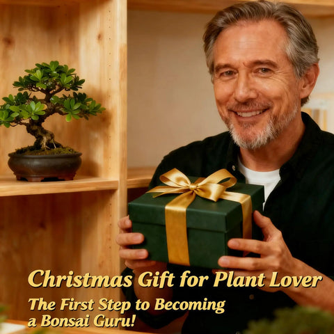 Man smiling with beginner bonsai tree starter kit, showcasing easy grow live plant DIY kit as a gift.