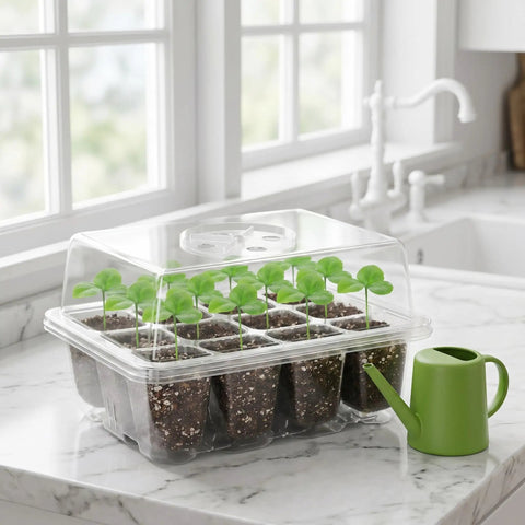 Five Pack Seed Starter Tray Kit With Humidity Dome 60 Cells Total Seed Starting Trays on kitchen counter with seedlings