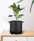 Low Maintenance No Fuss Auto Irrigation Plant Saucer For Indoor And Outdoor Gardens Self Watering Base For Potted Flowers