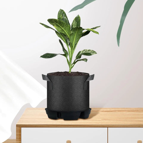 Low Maintenance No Fuss Auto Irrigation Plant Saucer For Indoor And Outdoor Gardens Self Watering Base For Potted Flowers