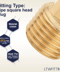 1/4 Inch Male NPT Brass Pipe Plug With Square Head, Cap For Air Water Fuel Transfer, close-up showing threaded detail and specifications.