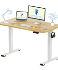 FLEXISPOT En1 Electric Standing Desk, 48 Inch By 24 Inch Maple Finish With Sleek White Frame with computer setup and lamp.