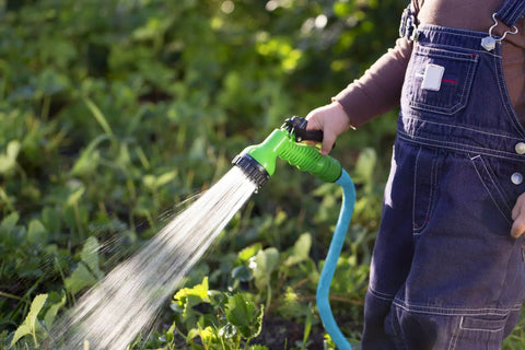 Person using Ultra Lightweight Rubber Farm Hose For Ranch Work Three Quarter Inch By Fifteen Feet, 500 PSI in a garden setting